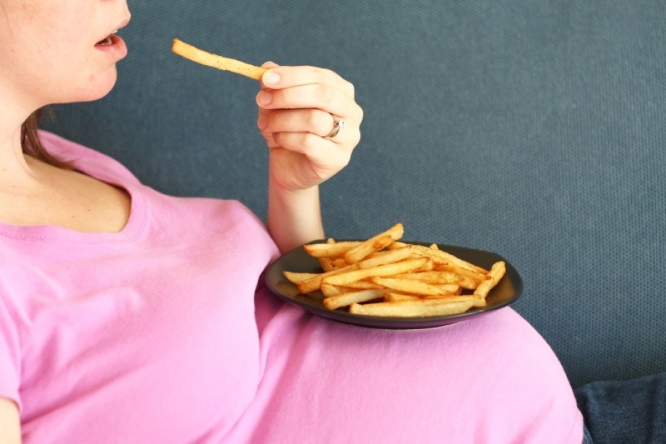 Scientists investigate link between unhealthy diet during pregnancy and