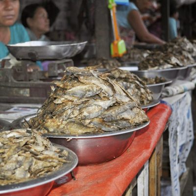 Manipuri Women Infertility Suspected on Food