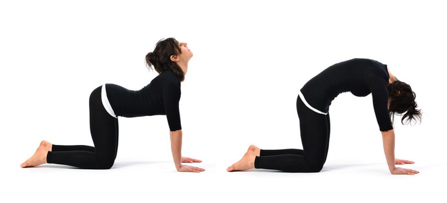 Women Fitness- A Wholesome Guide to Women Health & Wellness