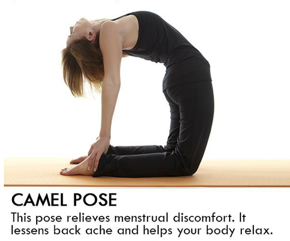 camel pose