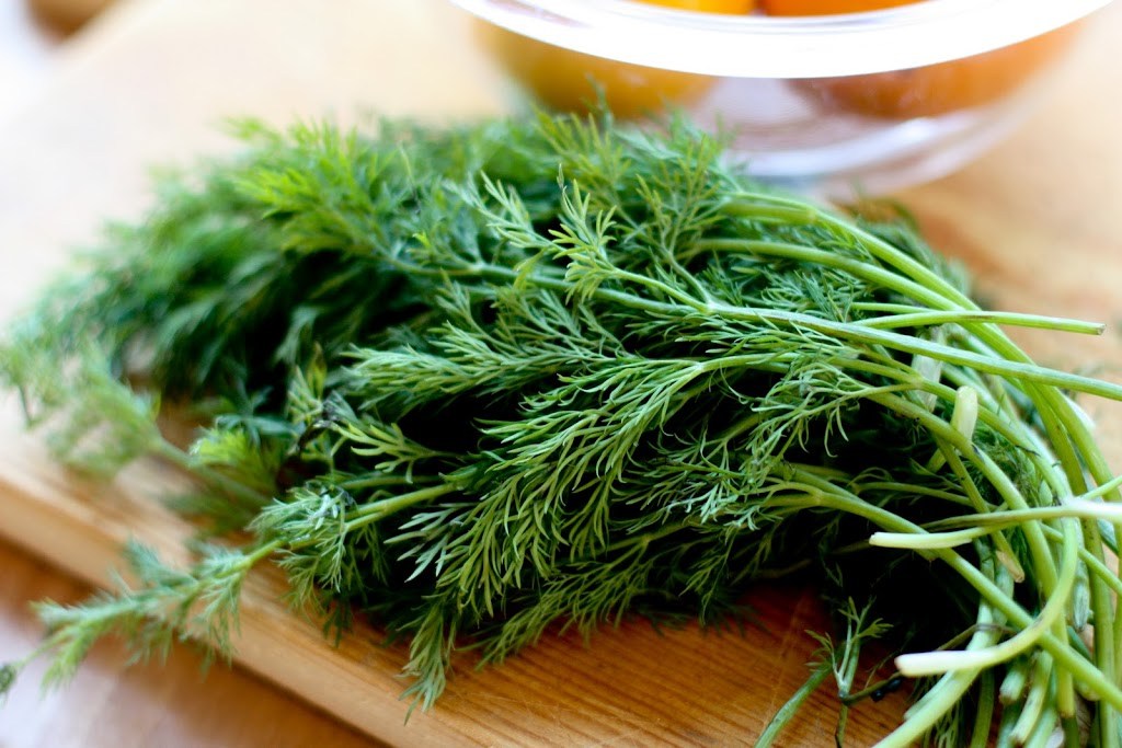 Dill Leaves Benefits and Recipes Women Fitness Org