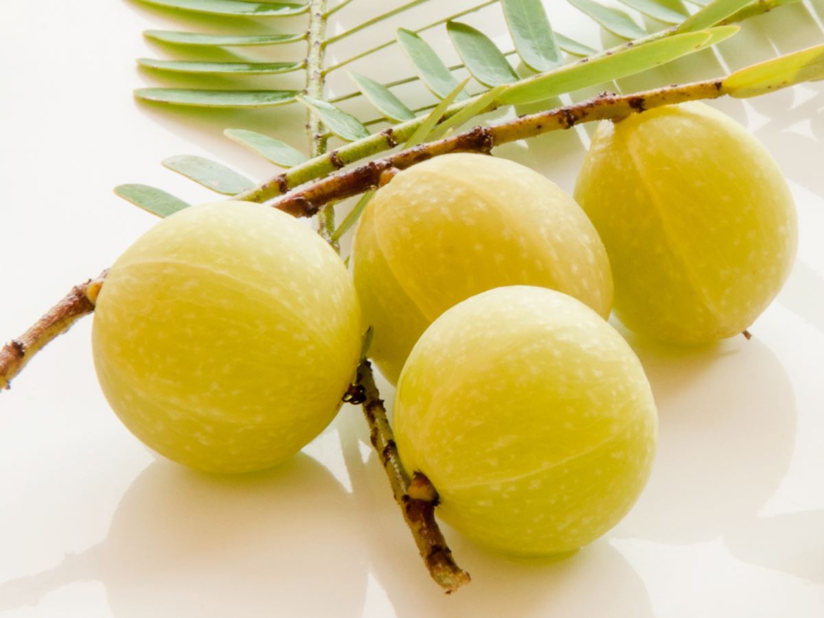 amla