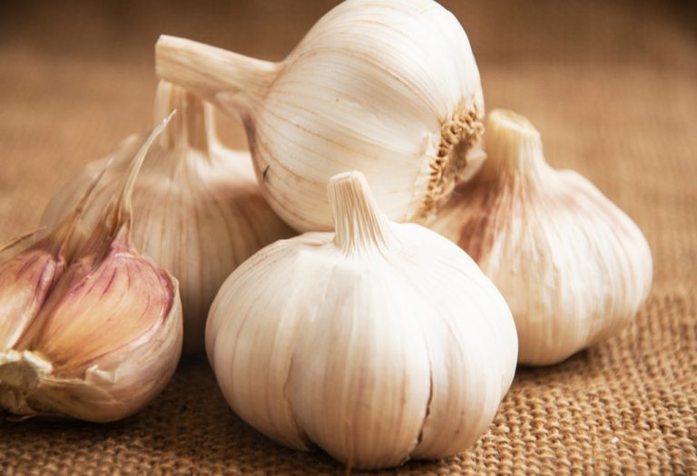 garlic