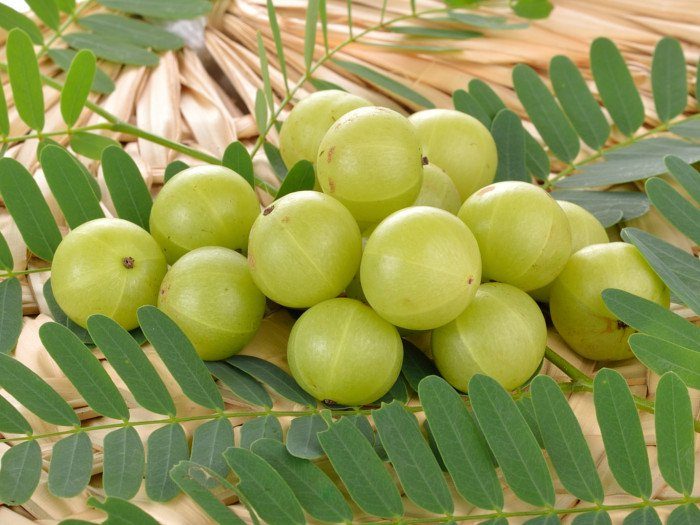 Indian gooseberry