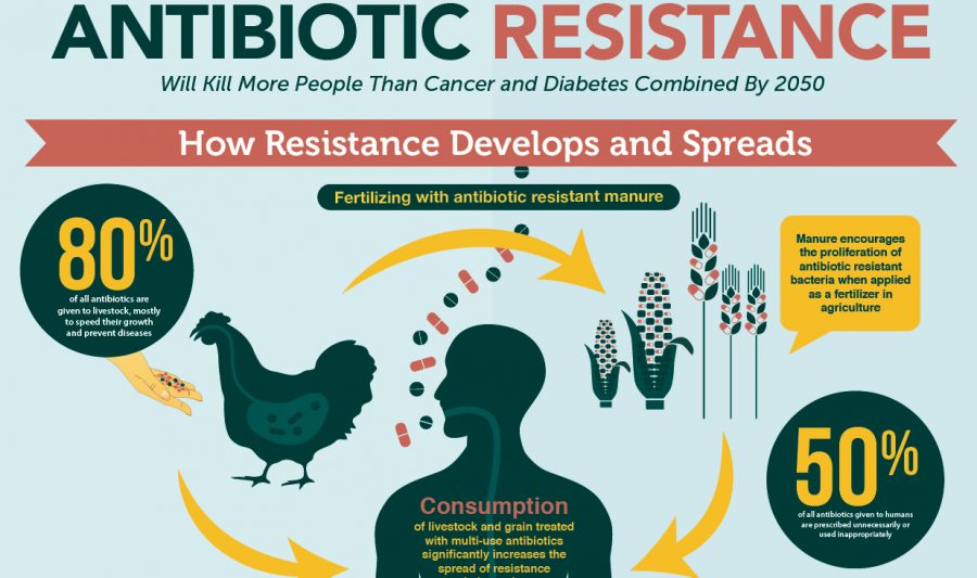 Study reveals 2 out of 3 healthy Indians are resistant to antibiotics