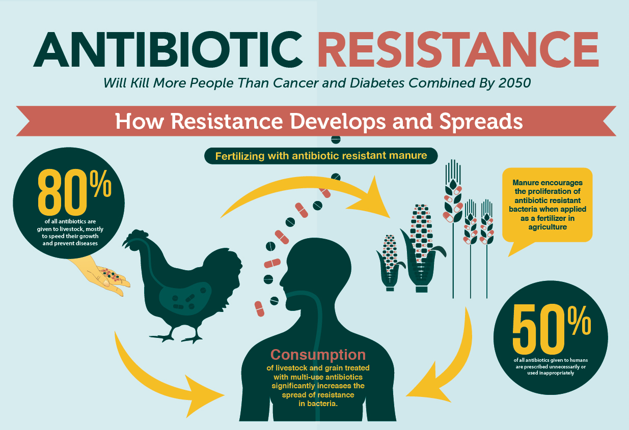 resistant to antibiotics