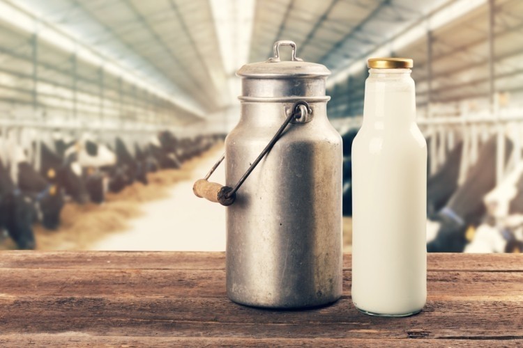 milk in India unsafe for human consumption