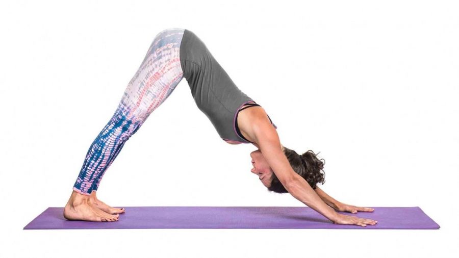 Benefits of Revolved Yoga Poses — Badlands Yoga