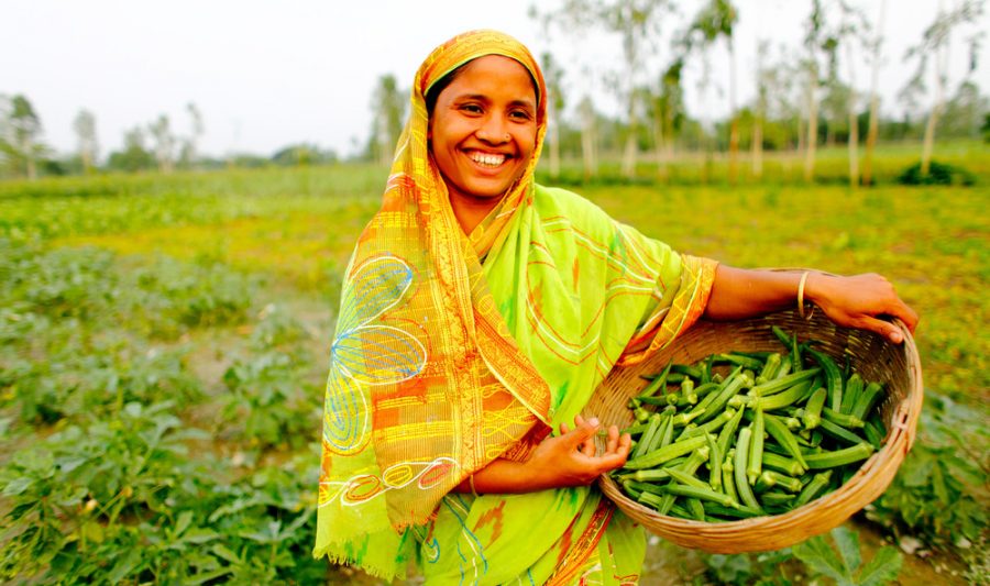 Farm Work By Women Drives Malnutrition In India