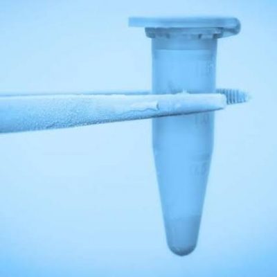 Freeze Your Fertility