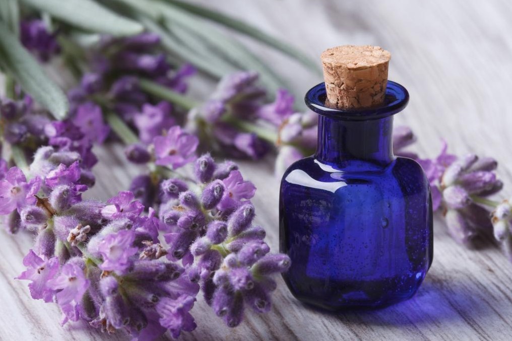 5 Popular Essential Oils For Menstrual Cramps Women Fitness Org