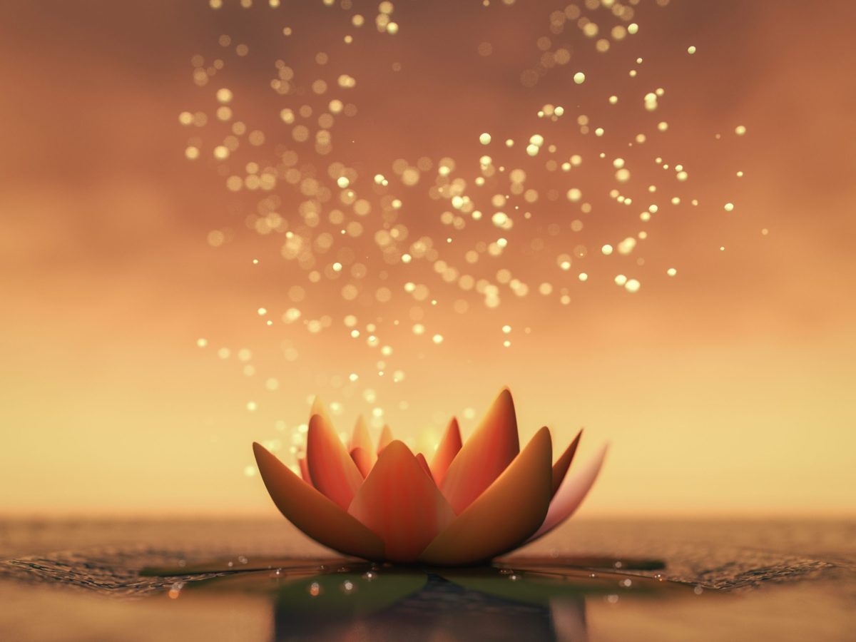 December 8 is BODHI Day Women Fitness Org