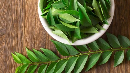 curry-leaves