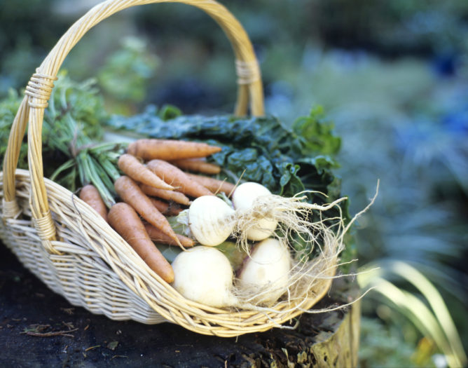 earth day vegetables