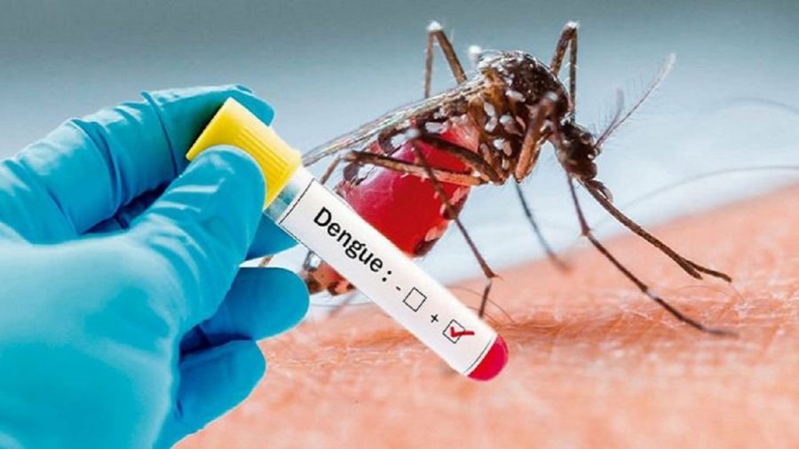 dengue