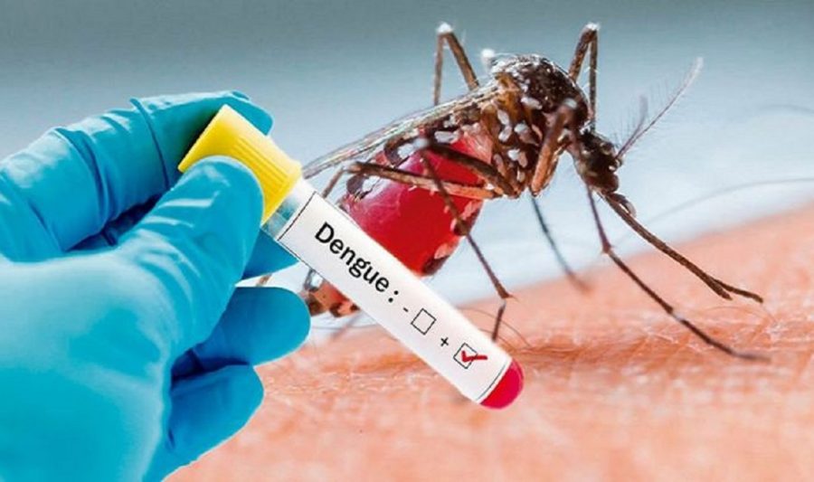 Bihar: 10 beds reserved in all district hospitals for dengue patients