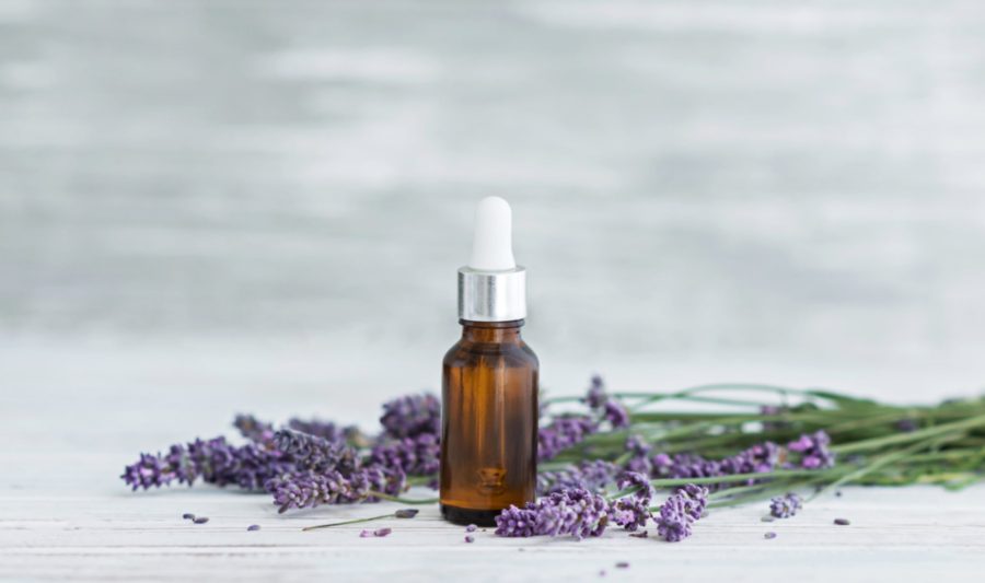 lavender